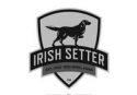 Irish Setter